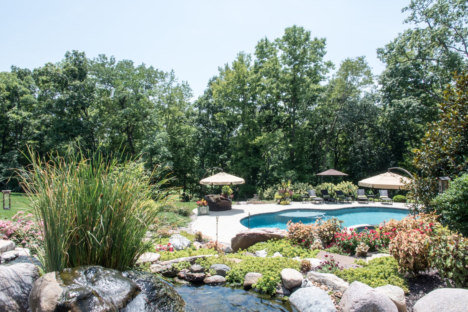Image of Home - Living the Dream in Des Peres