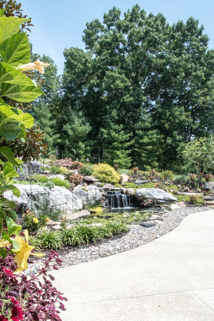 Image of Home - Living the Dream in Des Peres